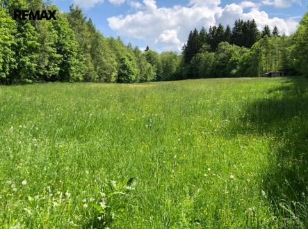 Prodej pozemku, trvalý travní porost, 14 292 m²