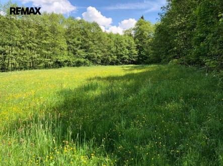 Prodej pozemku, trvalý travní porost, 14 292 m²