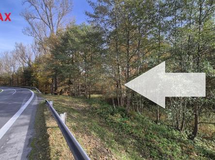 Prodej pozemku, trvalý travní porost, 2 859 m²