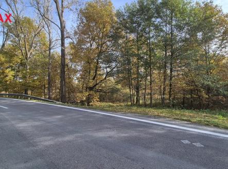 Prodej pozemku, trvalý travní porost, 2 859 m²