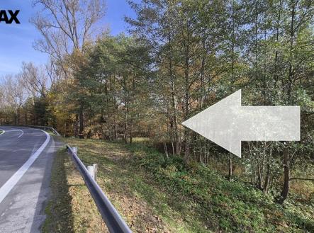 Prodej pozemku, trvalý travní porost, 2 859 m²