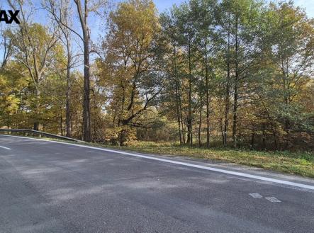 Prodej pozemku, trvalý travní porost, 2 859 m²