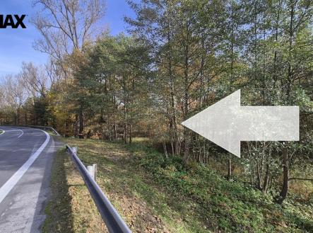 Prodej pozemku, trvalý travní porost, 2 859 m²