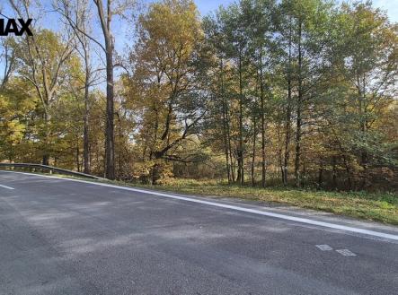 Prodej pozemku, trvalý travní porost, 2 859 m²