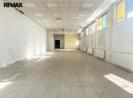 Pronájem obchodní prostor, 470 m²