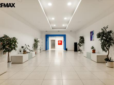 Pronájem kanceláře, 42 m²