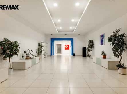 Pronájem kanceláře, 66 m²