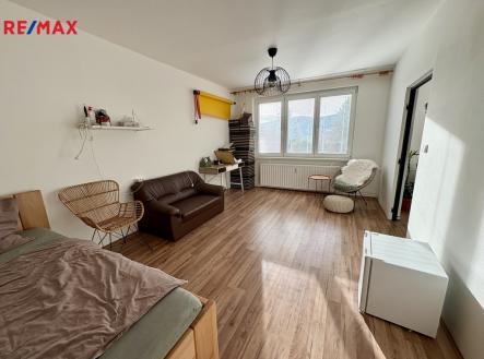 Pronájem bytu, 1+1, 42 m²