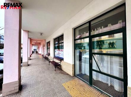 Prodej obchodní prostor, 219 m²