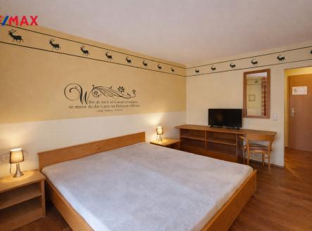 Prodej bytu, 1+kk, 24 m²