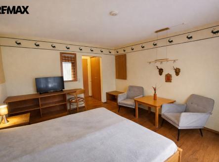 Prodej bytu, 1+kk, 24 m²