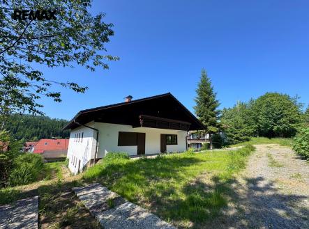 Orchid Casel de Paradise.