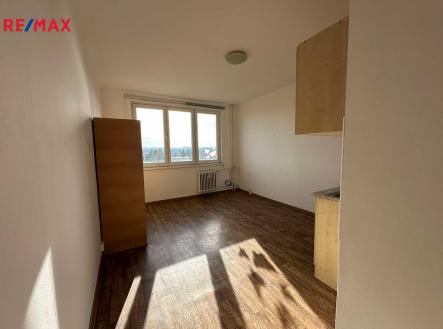 Pronájem bytu, 1+kk, 21 m²