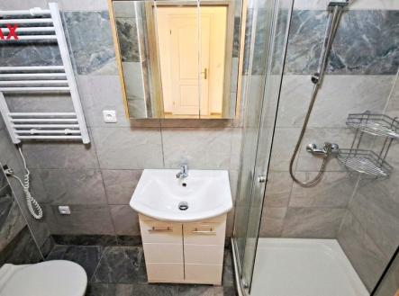 Pronájem bytu, 1+1, 42 m²