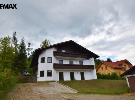 Orchid Casel de Paradise.