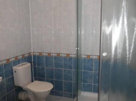 Pronájem bytu, 1+kk, 21 m²