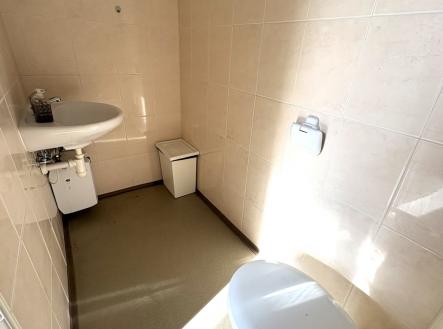 Pronájem obchodní prostor, 17 m²