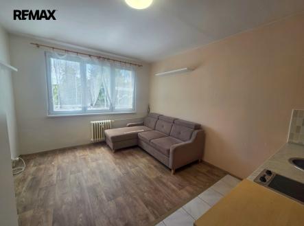 Pronájem bytu, 1+kk, 21 m²