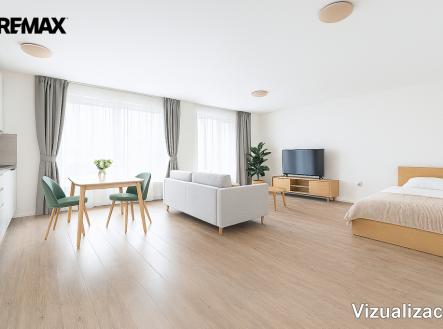 Pronájem bytu, 1+kk, 55 m²