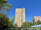 Pronájem bytu, 1+1, 53 m²