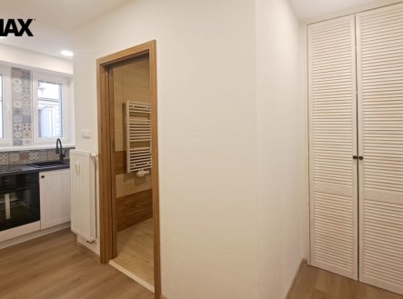 Pronájem nově zrekonstruovaného bytu 1+1 s parkovacím stáním a zahradním koutem