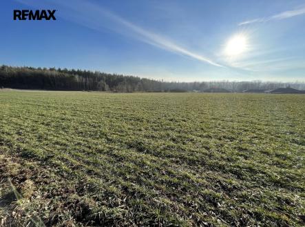 Prodej pozemku pro bydlení, 2 118 m² obrázek