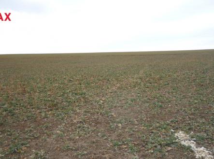 Prodej pozemku pro bydlení, 895 m²