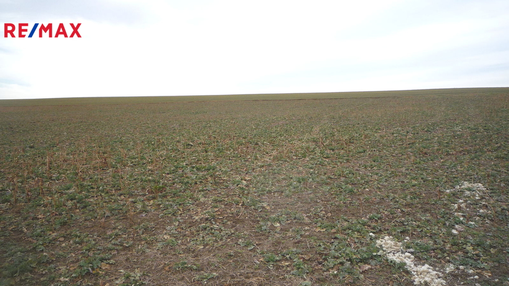 Pohled na pozemek při jeho levém okraji