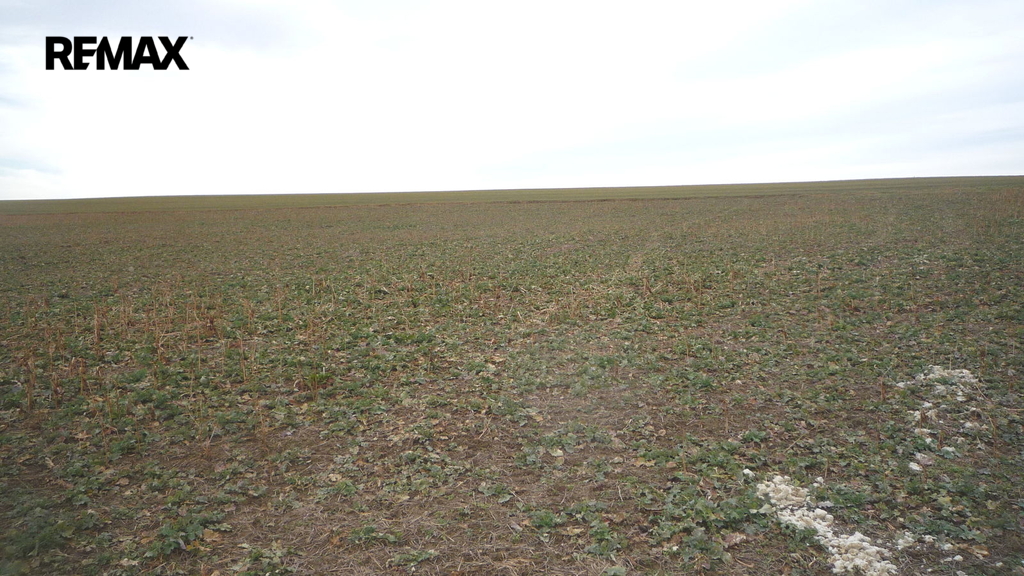 Pohled na pozemek při jeho levém okraji