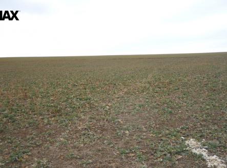 Prodej pozemku pro bydlení, 895 m²