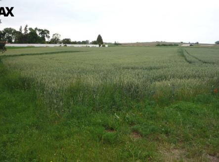 Prodej pozemku pro bydlení, 985 m² obrázek