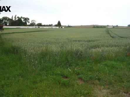 Prodej pozemku pro bydlení, 985 m²