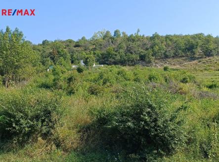 Prodej pozemku pro bydlení, 2 650 m²