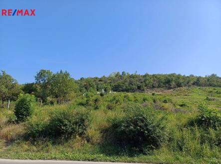 Prodej pozemku pro bydlení, 2 650 m²