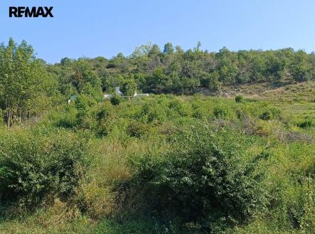 Prodej pozemku pro bydlení, 2 650 m²