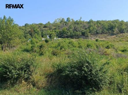 Prodej pozemku pro bydlení, 2 650 m²