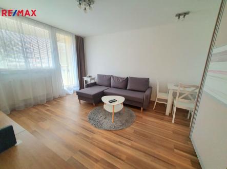 Pronájem bytu, 1+kk, 26 m²