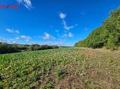 Prodej pozemku, zemědělská půda, 18 938 m²