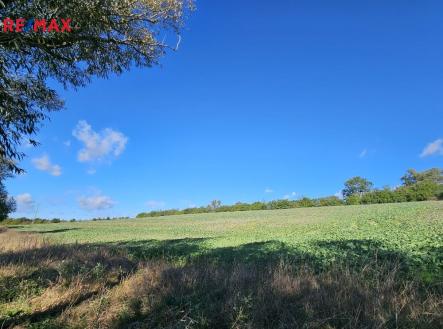 Prodej pozemku, zemědělská půda, 18 938 m²