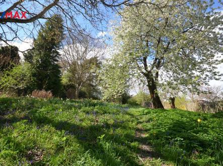 Prodej pozemku pro bydlení, 892 m²