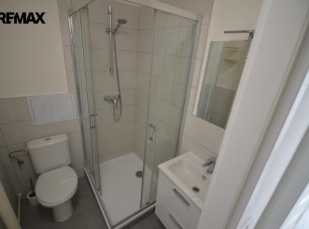 Pronájem bytu, 1+1, 28 m²