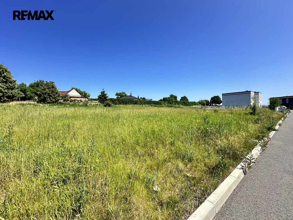 img-0874.jpg