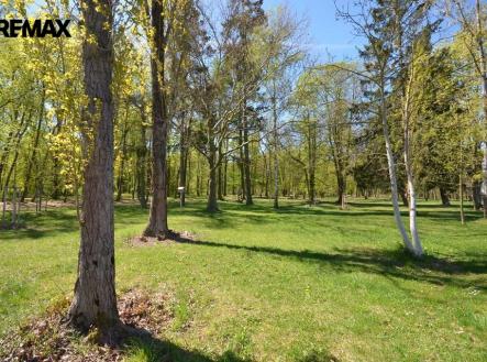 Pronájem pozemku, zahrada, 800 m²