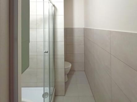 Pronájem bytu, 1+kk, 19 m²