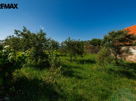 Prodej pozemku pro bydlení, 1 355 m²