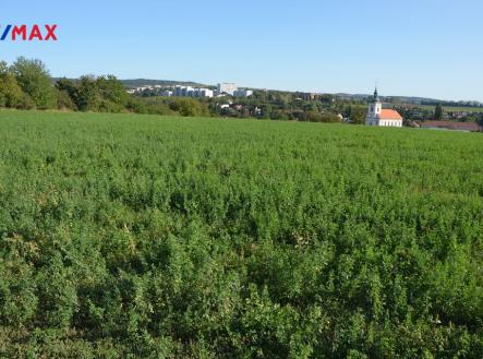 Prodej pozemku, zemědělská půda, 3 819 m²