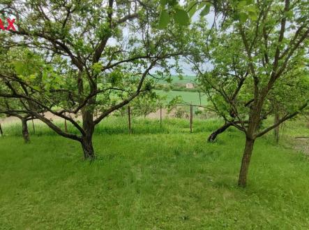 Prodej pozemku, zahrada, 1 279 m²