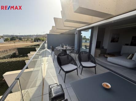 Orchid Casel de Paradise.