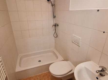 Pronájem bytu, 1+kk, 20 m²