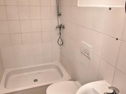 Pronájem bytu, 1+kk, 20 m²